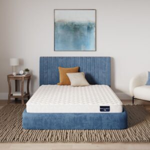 Serta Blissful Excellence Alora Sky Plush Fort Collins Mattress Store (1)