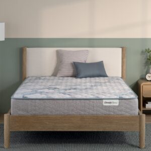 Beauty Sleep Dream Weaver 12.5 Firm Mattress (3)