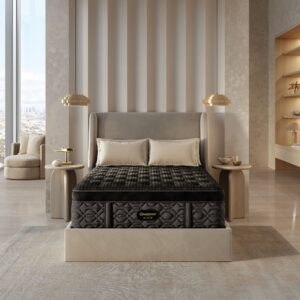 Beautyrest Black®